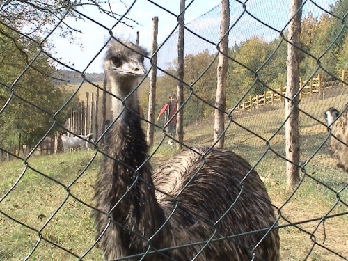 Pátrači na Tematíne