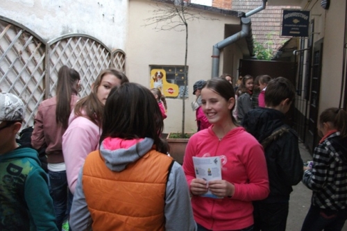 Trieda 6. D