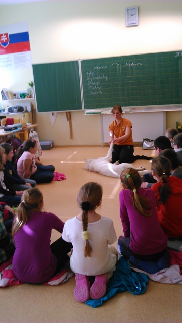 Trieda 4. B