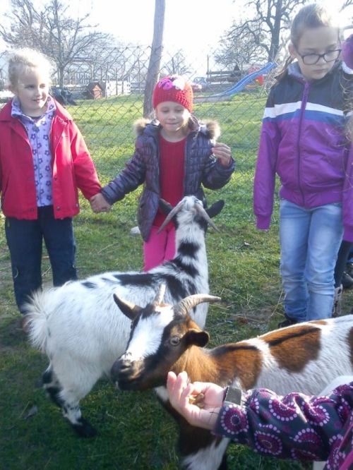 Minifarma