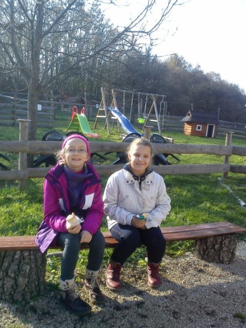 Minifarma