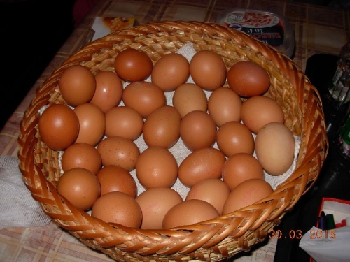 Veľká noc na Gazdovskom dvore