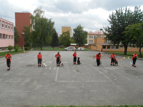 Canisterapia v ŠKD