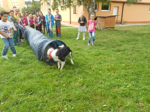 Canisterapia v ŠKD