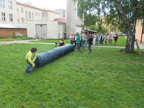 Canisterapia v ŠKD