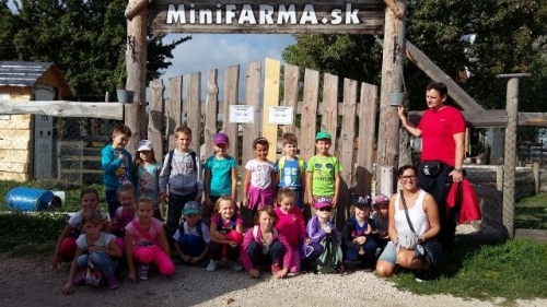 Minifarma