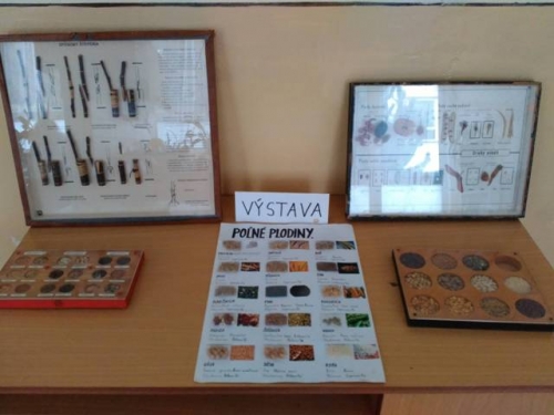 Výstava jesenných plodov