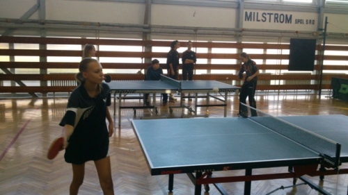 stolný tenis