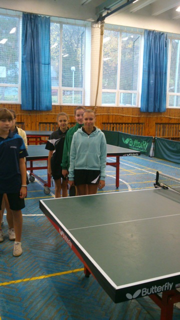stolný tenis