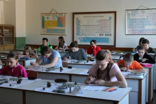 Okresné kolo biologickej olympiády