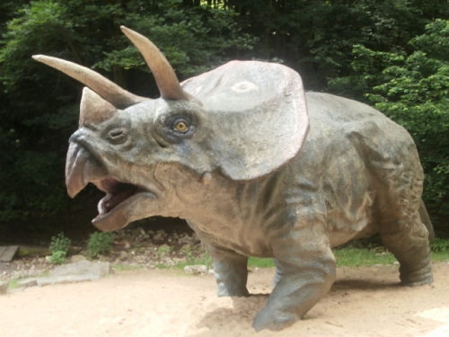 Výlet