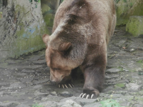 Výlet
