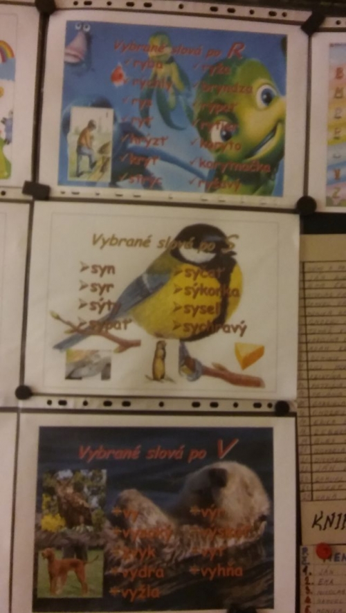 Naše práce počas roka