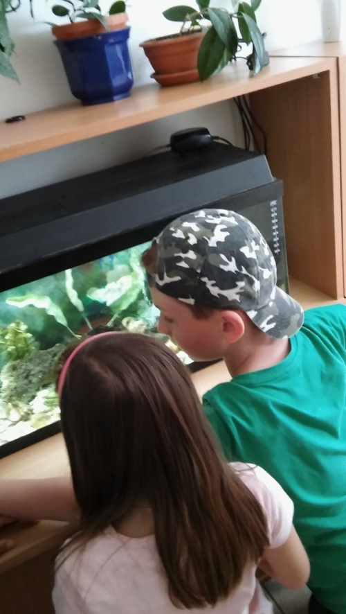 Návšteva v CVČ
