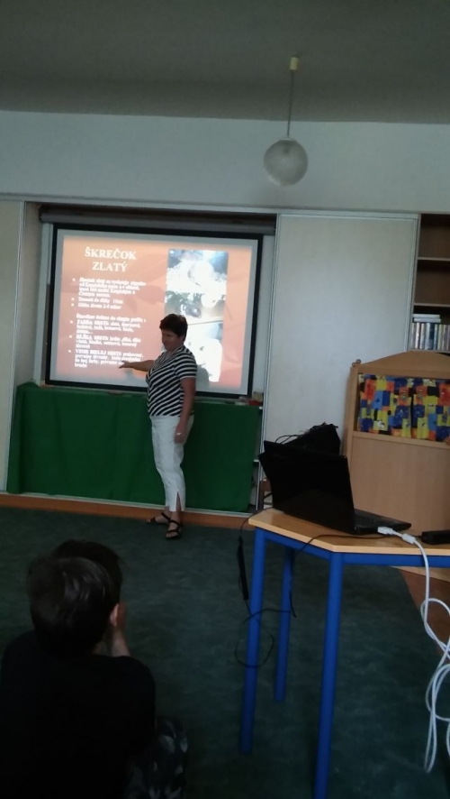 Návšteva v CVČ