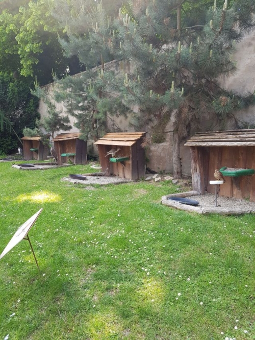 Výlet tretiakov