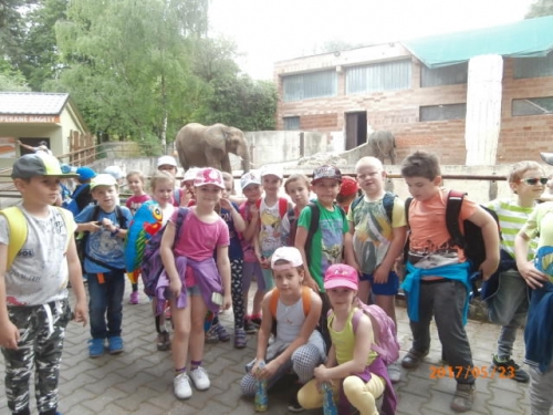 ZOO