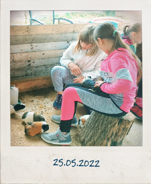 Koncoročný výlet
