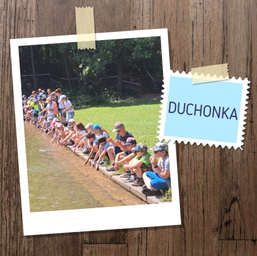  DUCHONKA
