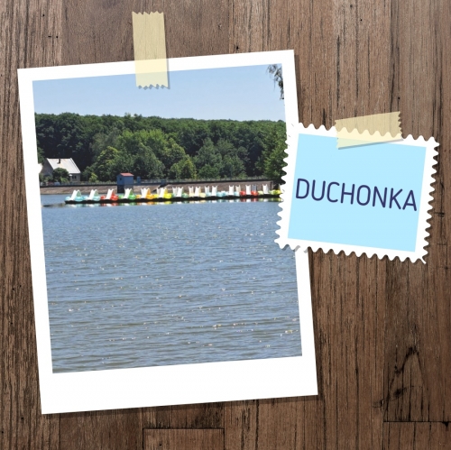  DUCHONKA