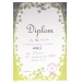 diplomy