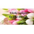 Deň učiteľov - 28. marec